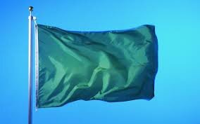 Хамис Каддафи поднял зеленый флаг над штаб-квартирой ЦРУ